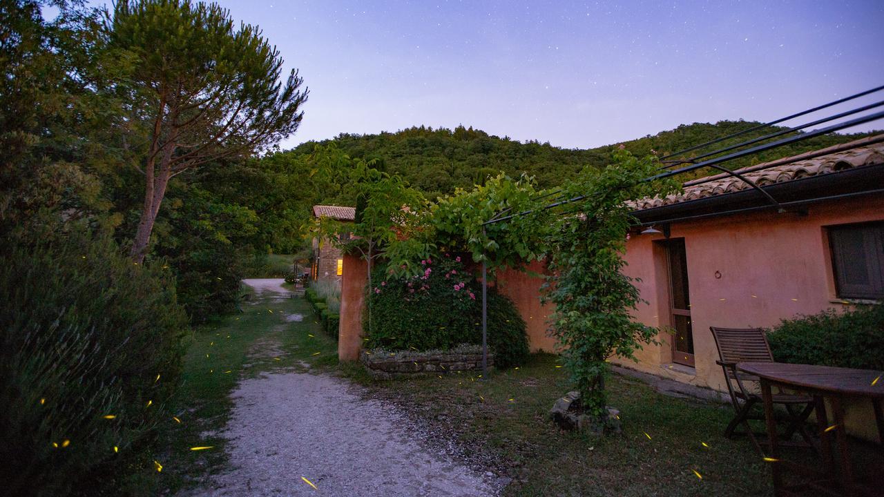 Casa Rosa Guest House Santa Maria Lignano Ngoại thất bức ảnh